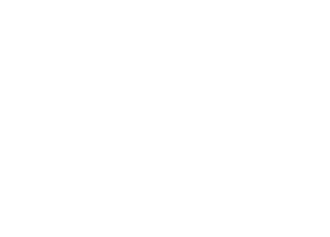 2026_ppai_promoprodaily_primary_rggb_300x215